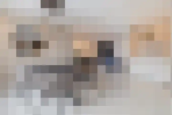Agaat 6 Venlo thumbnail 15