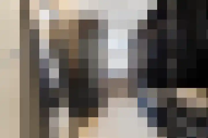 Agaat 6 Venlo thumbnail 29