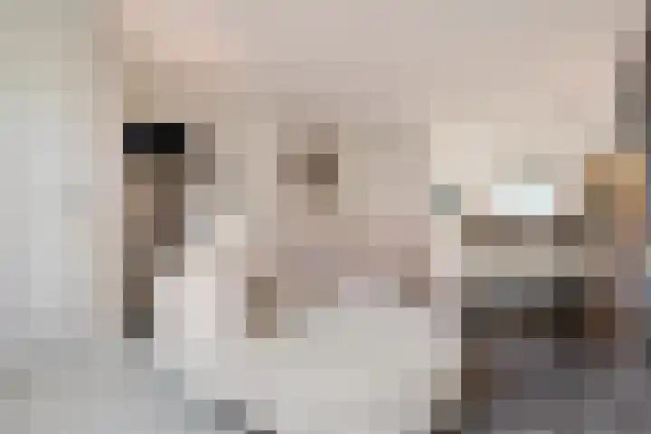 Agaat 6 Venlo thumbnail 5