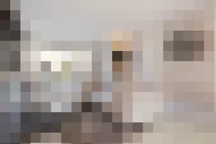 Agaat 6 Venlo thumbnail 7