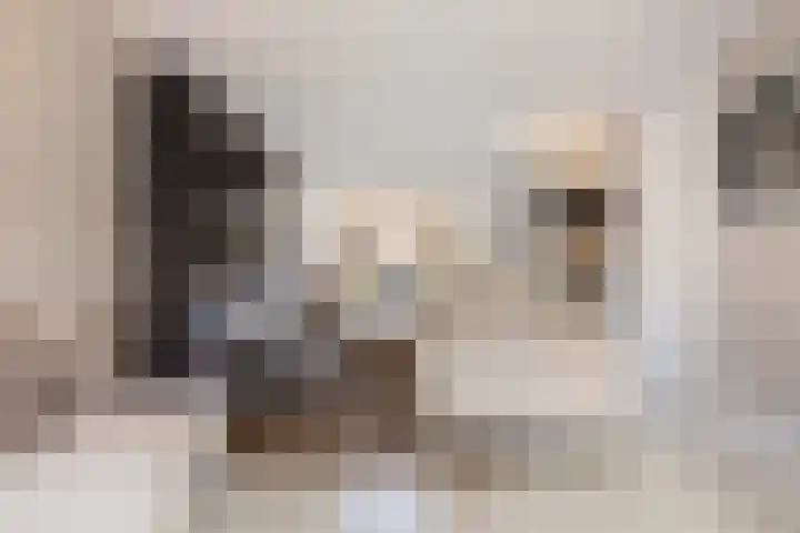Agaat 6 Venlo thumbnail 8