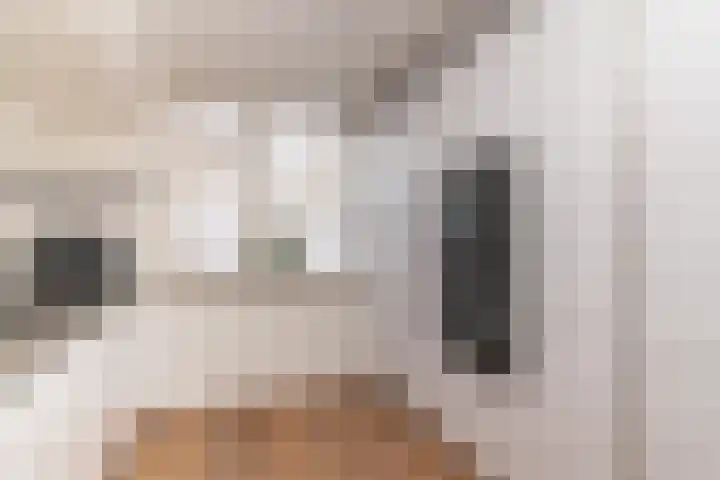 Agaat 77 Zoetermeer thumbnail 10
