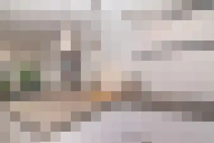 Agaat 77 Zoetermeer thumbnail 12