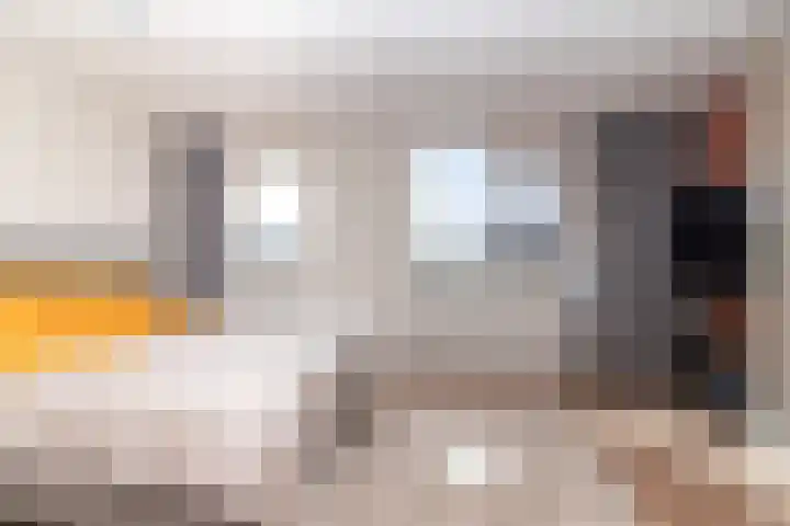 Agaat 77 Zoetermeer thumbnail 27