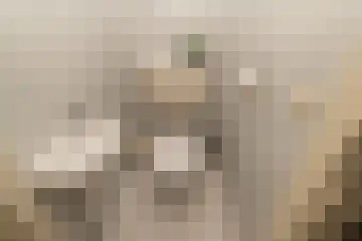 Agaat 77 Zoetermeer thumbnail 33
