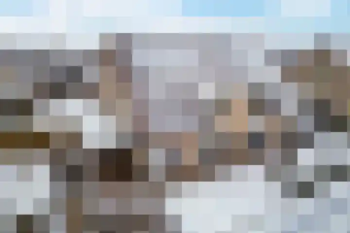 Agaatdreef 33 Emmen