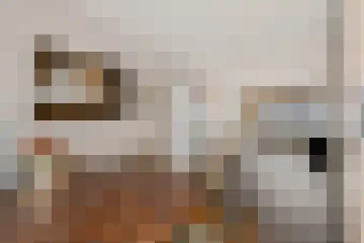 Agaatdreef 33 Emmen thumbnail 13