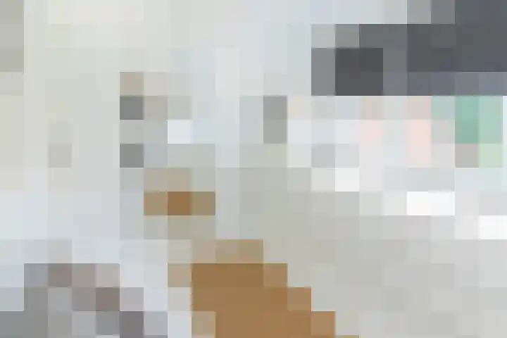 Agaatdreef 33 Emmen thumbnail 15