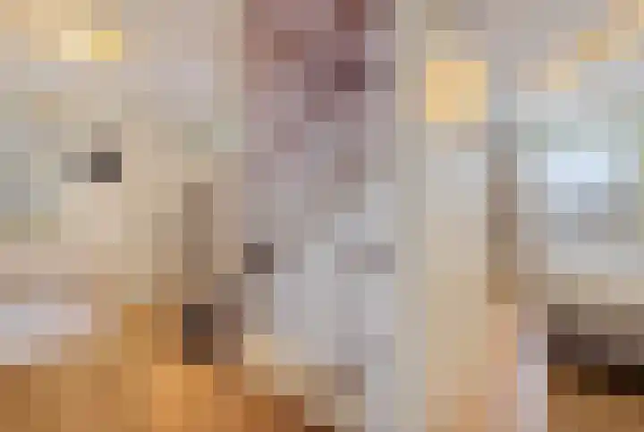 Agaatdreef 33 Emmen thumbnail 19