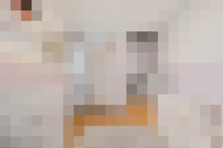 Agaatdreef 33 Emmen thumbnail 23