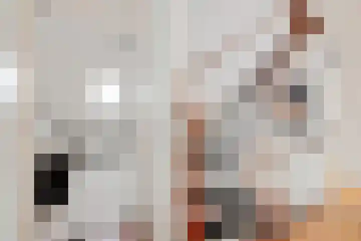 Agaatdreef 33 Emmen thumbnail 28