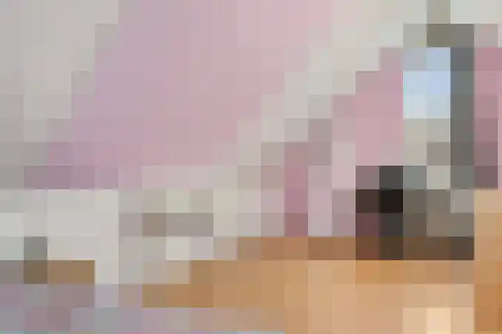 Agaatdreef 33 Emmen thumbnail 30