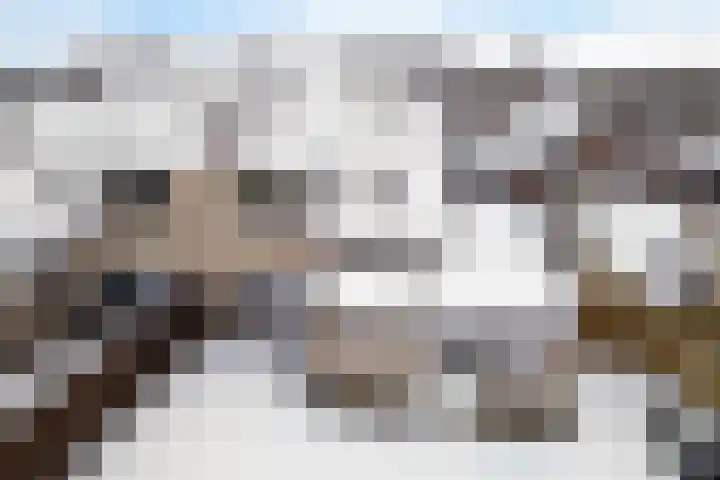 Agaatdreef 33 Emmen thumbnail 36