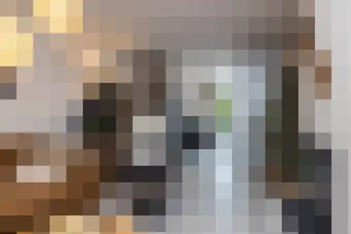 Agaatstraat 33 Heerlen thumbnail 10