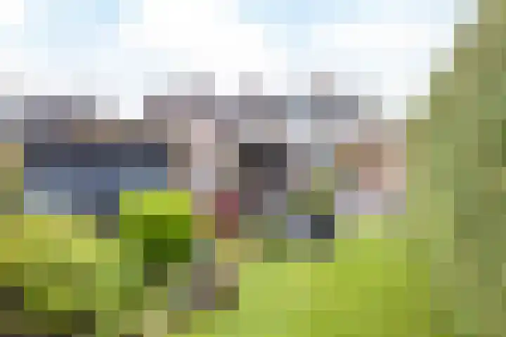 Agaatstraat 33 Heerlen thumbnail 31