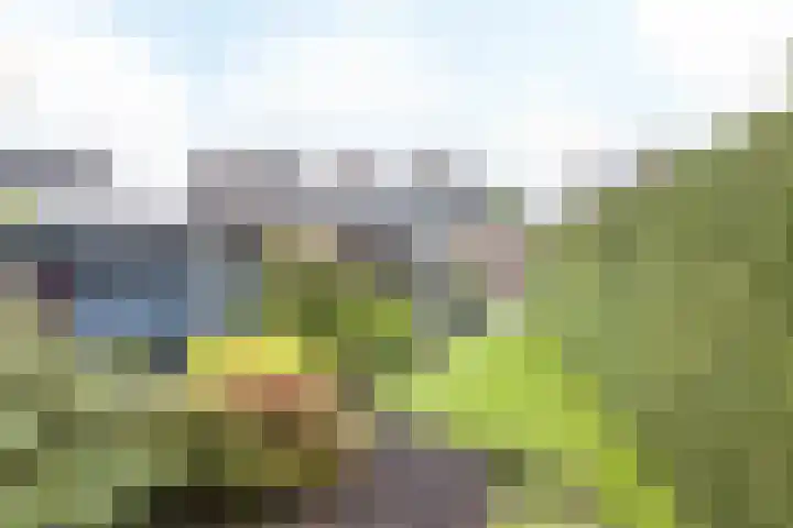 Agaatstraat 33 Heerlen thumbnail 4