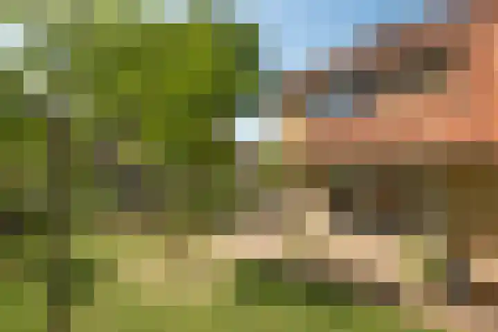 Agaatstraat 8 Enschede thumbnail 18