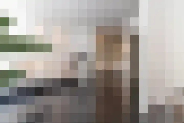 Agamemnonstraat 29 2 Amsterdam