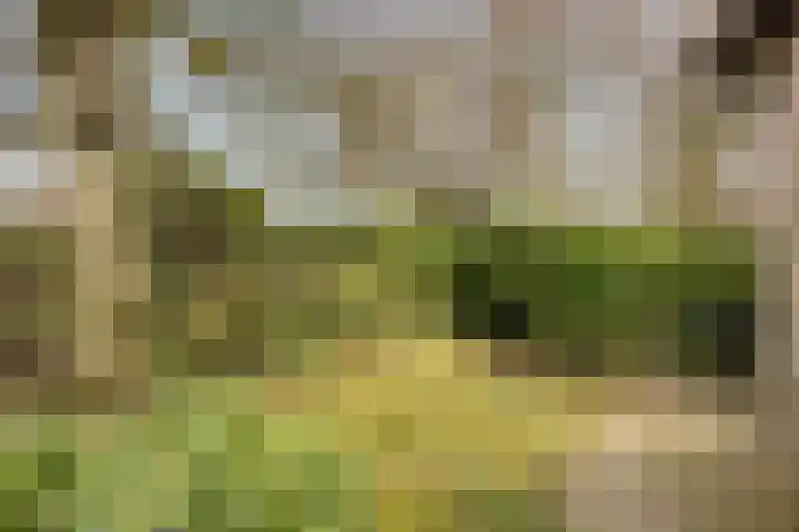 Agathalaan 4 Wouw thumbnail 24