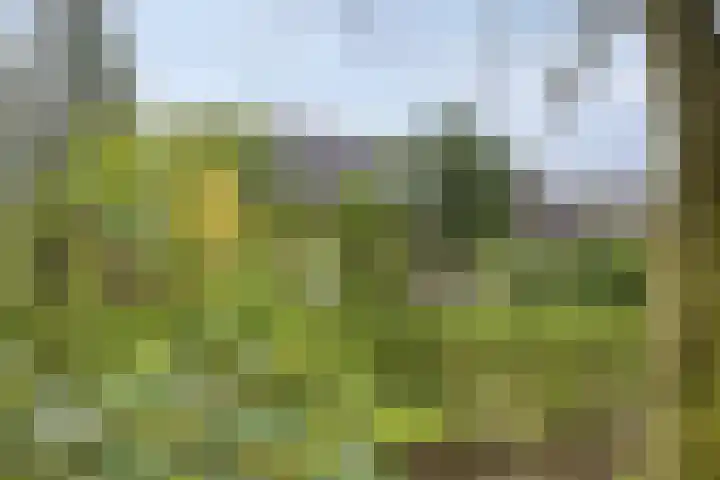 Agathalaan 4 Wouw thumbnail 28