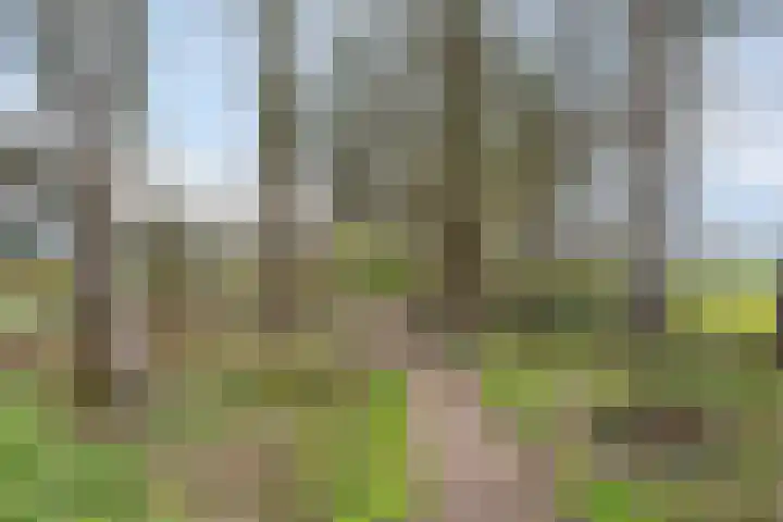 Agathalaan 4 Wouw thumbnail 36