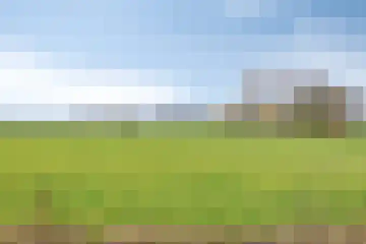Agathalaan 4 Wouw thumbnail 37