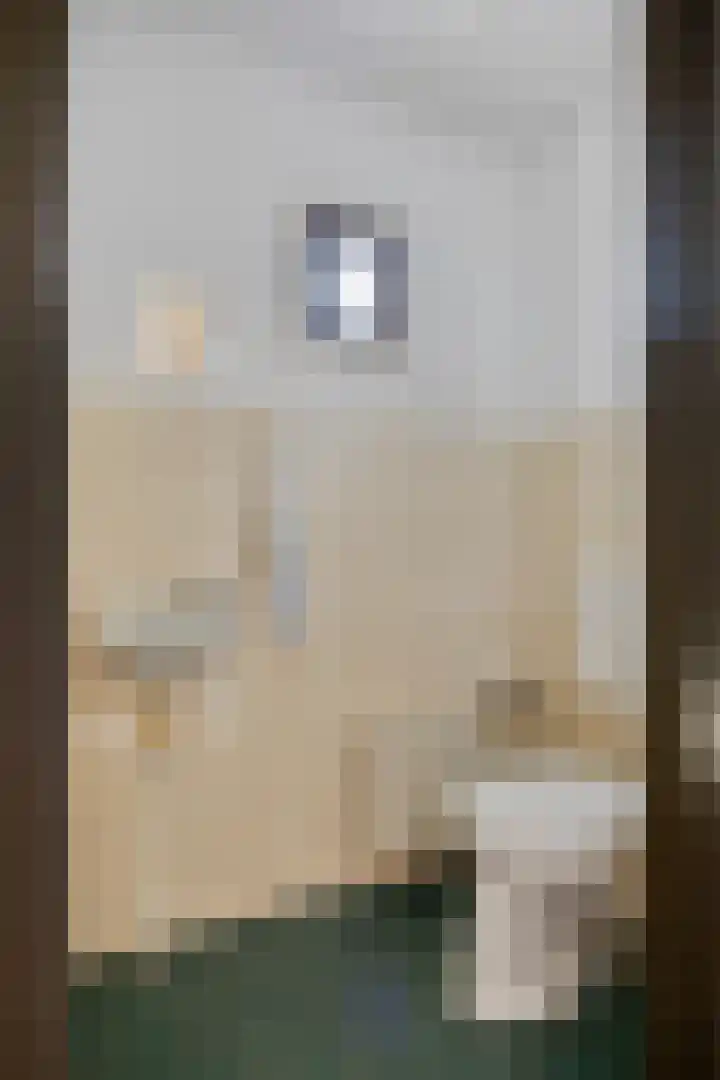Agathalaan 4 Wouw thumbnail 4