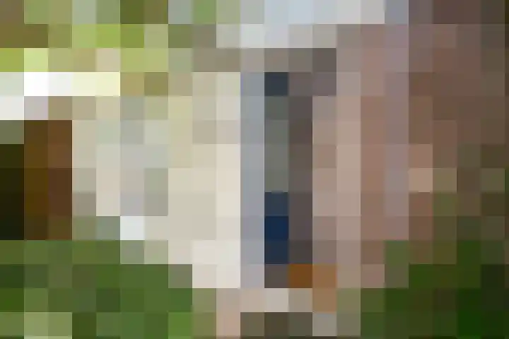 Aggelenstraat 30 De Rijp thumbnail 13