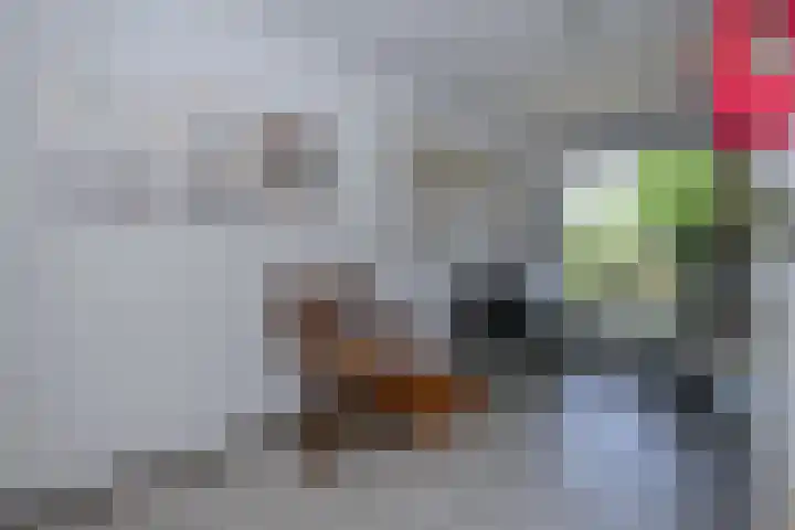 Aggelenstraat 30 De Rijp thumbnail 33