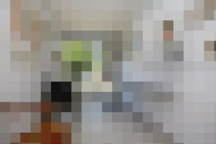 Aggelenstraat 30 De Rijp thumbnail 35
