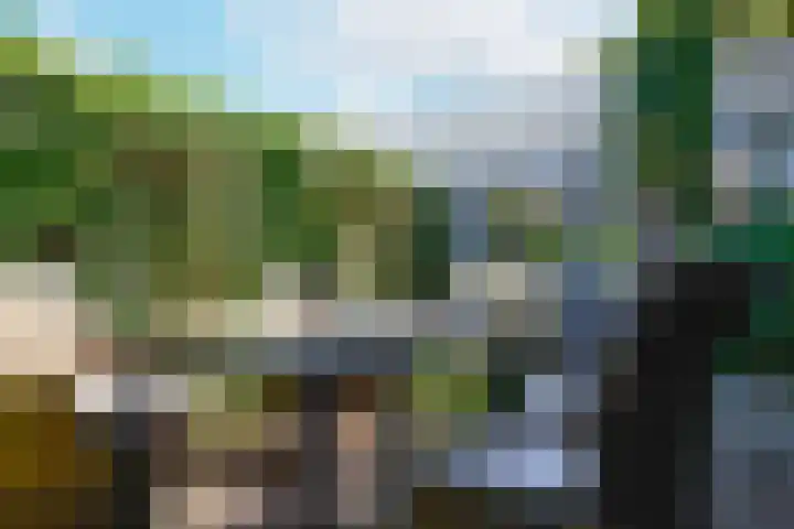 Aggelenstraat 30 De Rijp thumbnail 50