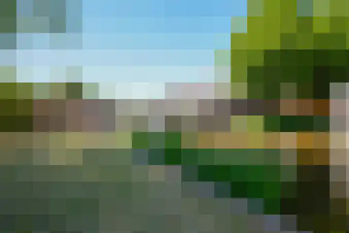 Aggelenstraat 30 De Rijp thumbnail 55