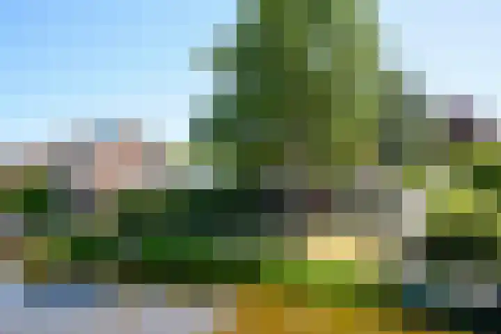 Aggelenstraat 30 De Rijp thumbnail 58