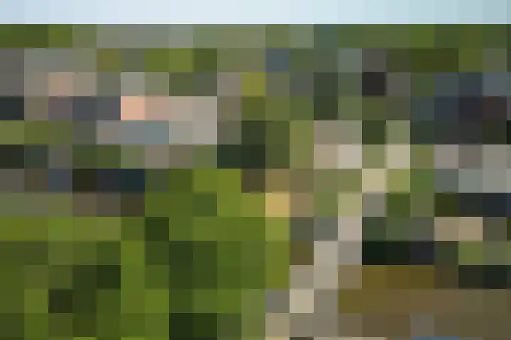 Aggelenstraat 30 De Rijp thumbnail 6
