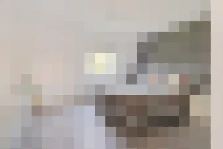 Aggemastate 188 Leeuwarden thumbnail 4