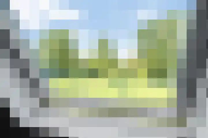 Aggemastate 188 Leeuwarden thumbnail 43
