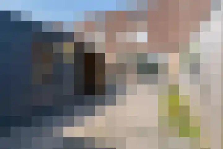 Aggemastate 188 Leeuwarden thumbnail 47