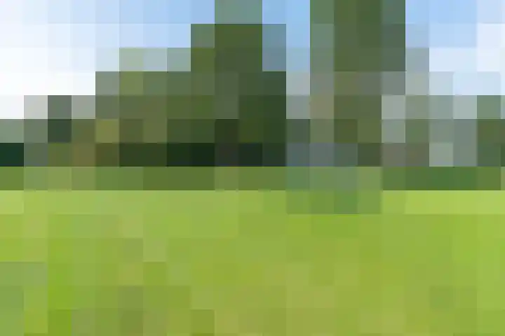 Aggemastate 188 Leeuwarden thumbnail 50