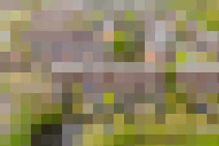 Aggemastate 231 Leeuwarden thumbnail 25