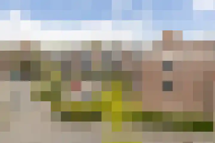 Aggemastate 38 Leeuwarden thumbnail 5