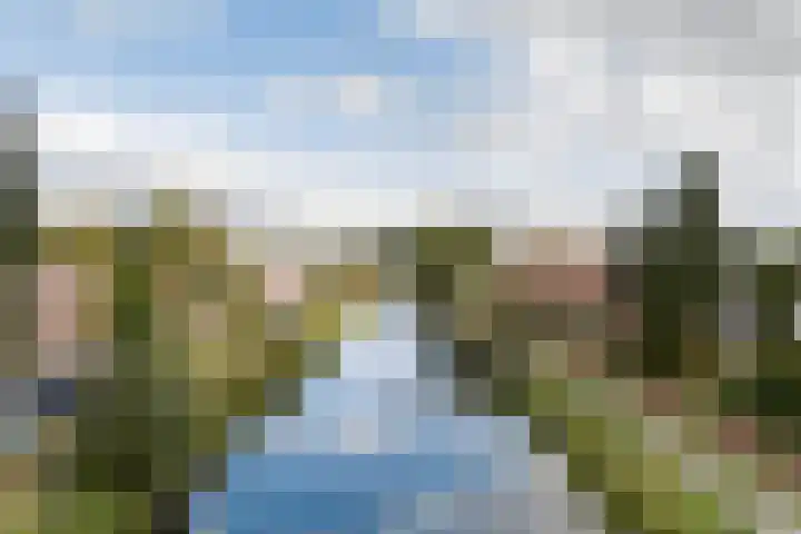 Aggemastate 54 Leeuwarden thumbnail 6