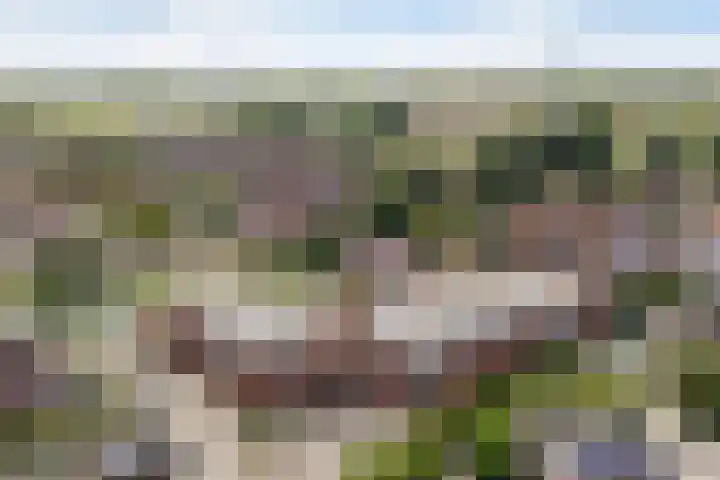 Aggemastate 54 Leeuwarden thumbnail 8