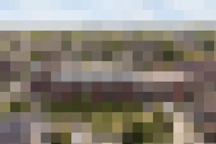 Aggemastate 54 Leeuwarden thumbnail 9