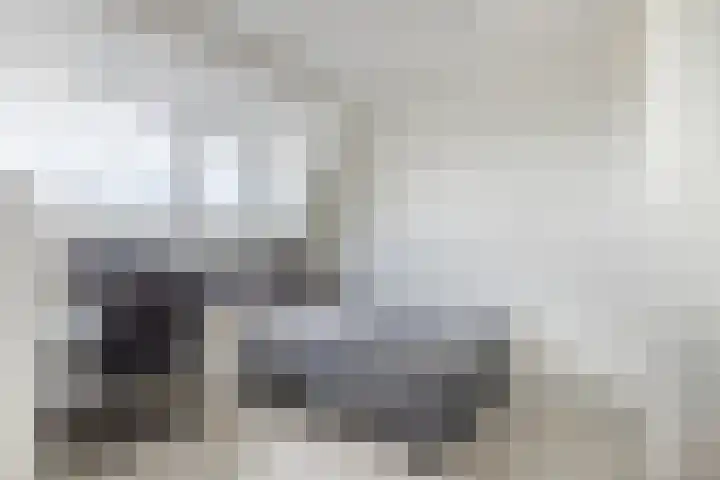 Agilioweg 10 De Meern thumbnail 43
