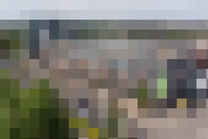 Agilioweg 10 De Meern thumbnail 57