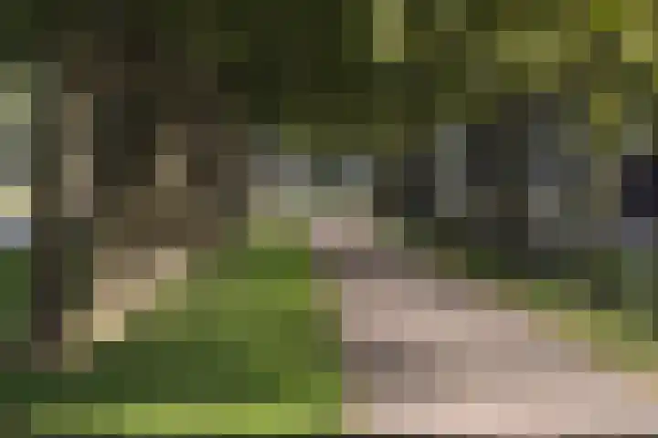 Agilioweg 10 De Meern thumbnail 60