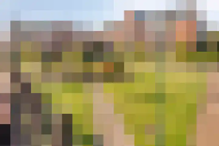 Agorabaan 35 Lelystad thumbnail 10