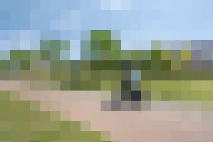 Agorabaan 35 Lelystad thumbnail 29