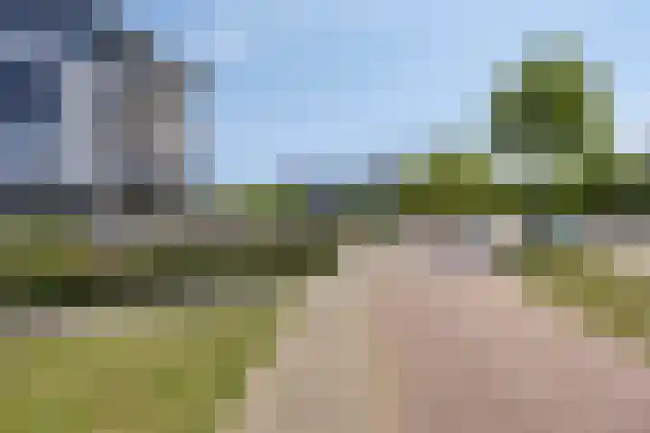 Agorabaan 35 Lelystad thumbnail 5