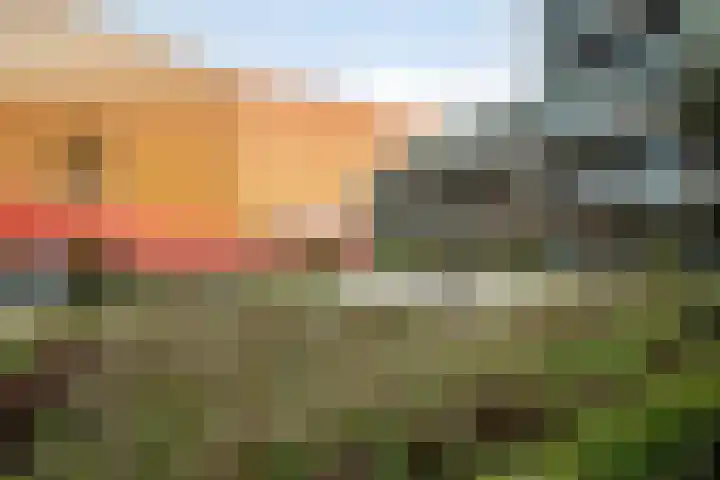 Agoraweg 123 Lelystad thumbnail 45